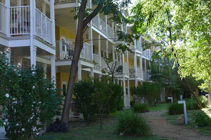Lyons-Garden-12